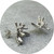 Manuela Igreja - Small Succulent Stud Earrings, Sterling Silver