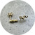KIN- stud earring, 9ct yellow gold. Australian chocolate diamonds. 0.34ctw.