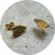 Virginia Sprague - Unearthed Studs, Yellow Gold Plated Sterling Silver