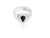 Serpent Cove - Haunt The Grave Signet Ring, Sterling