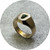 Serpent Cove - Tsavorite Signet Ring, 9ct Yellow Gold, Size K