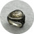 ANT HAT - Smother Ring, Oxidised Sterling Silver, Rutilated Quartz, Size Q