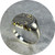 Kirra-Lea Caynes - Sterling Silver Sand Cast Round Signet Ring With 16 Madagascar And Australian Sapphires, Scatter Cast-In-Place. Size N