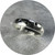 Kirra-Lea Caynes - Sterling Silver Sand Cast 4mm Band With 11 Australian Sapphires, Scatter Cast-In-Place. Size O