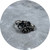 Good Gardener - Resting Place Bouquet Ring. Oxidised AGPD. Size M