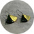 Lisa Cahill - Ginkgo Earrings Assorted Colours. Glass, Gold, Stainless Steel