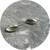 Manuela Igreja - Grevillea Earrings, Sterling Silver.