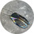 Luke Abbot - Cicada Pendant, Titanum, Sterling Silver