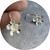 Olivia Dryden - Geraldton Wax Hook Earrings. Sterling Silver