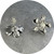 Olivia Dryden - Geraldton Wax Stud Earrings. Sterling Silver