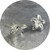 Olivia Dryden - Crowea Hook Earrings. Sterling Silver