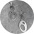 Ann Welton - "Oval All Over" Earrings, Sterling Silver