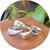 Signet Ring Workshop - 4th July 2026
