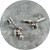 Danielle Barrie - Stream Earrings, Sterling Silver, Freshwater Pearls