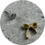 KIN - Single Bow Flat Back Stud, Yellow Gold Plate