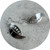 Ann Welton - 'Fragments of a Seed Pod' Earrings, Sterling Silver