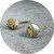 Claire Taylor - Printed Flower Earrings, Yellow Gold Plated Sterling Silver