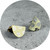 Sarah Murphy - Crescent Studs in Gold, Anodised Titanium