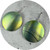 Sarah Murphy - Wandering Green Shield Earrings, Anodised Titanium