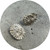 Ann Welton - 'Tiny Tangles' Earrings. Sterling Silver, Fine Silver.