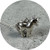 Petite Loot - Unicorn Pony Pendant. Sterling Silver. 45cm