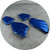 Gabbee Stolp - Double Soft Shell Fragment Earrings (Blue), King Scallop Shell Fragments, Leather, Cotton Thread, Sterling Silver Hooks