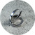 KIN - 9ct White Gold Square Hoops