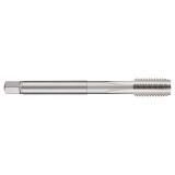 5975901-B.jpg
