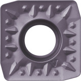 TKA05468.jpg