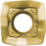 TMA05620.jpg