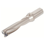 6718381.jpg