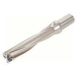 6718354.jpg