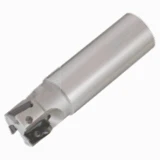 3029006.jpg