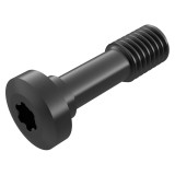 Seco Tools 02483553 | L85020-T15P M5 Thread Diameter Size x 20.00mm OAL Socket Cap Screw