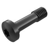 Seco Tools 02483554 | L86025-T20P M6 Thread Diameter Size x 25.00mm OAL Socket Cap Screw
