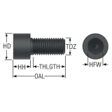 Seco Tools 75027343 | MC6S20X40 Hex Socket Cap Screw