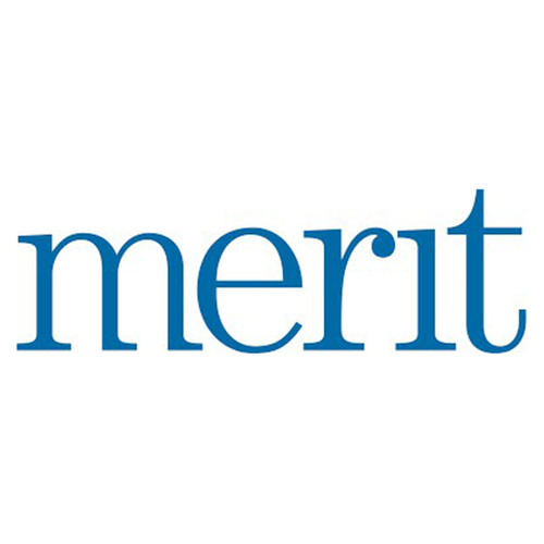 Merit 08834137370 | 2" Diameter x 1" Width x 1/4" Arbor 60 Grit Medium Grade Coated Ceramic Alumina/Aluminum Oxide Mounted Flap Wheel