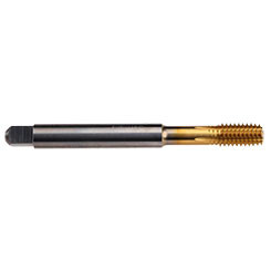B531Z800.0060-B