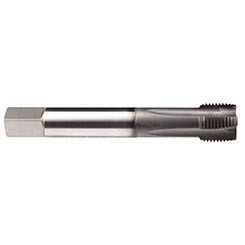 Emuge CU20A601.5016 | 3/4"-10 - Tap - Rekord B Z -PM- GLT-1