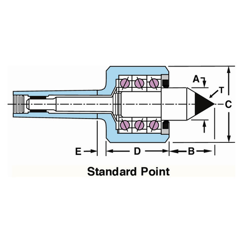 Advantage_CT_SP_1.JPG