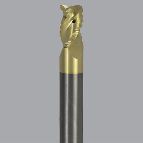 AMC800241.jpg