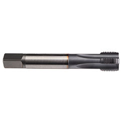 Emuge C0109401.0124 | M24 - Tap - Rekord A-Z