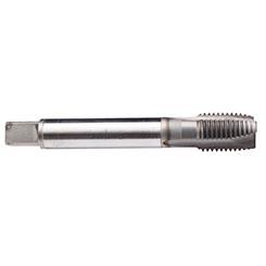 Emuge CU20C300.5053 | 1 1/8"-12 - Tap - Rekord B-VA - GLT-1