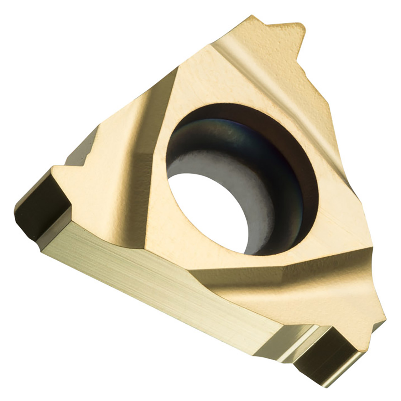 Pramet TN 16ER100M-P1:T8030 | 0.375" Circle Diameter x 0.65" Edge Length Threading Insert