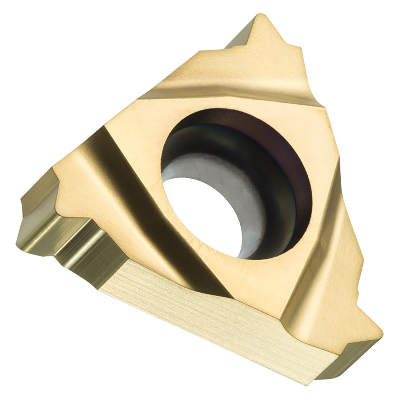 Pramet TN 16EL300M:T8010 | 0.375" Circle Diameter x 0.137" Thickness Threading Insert