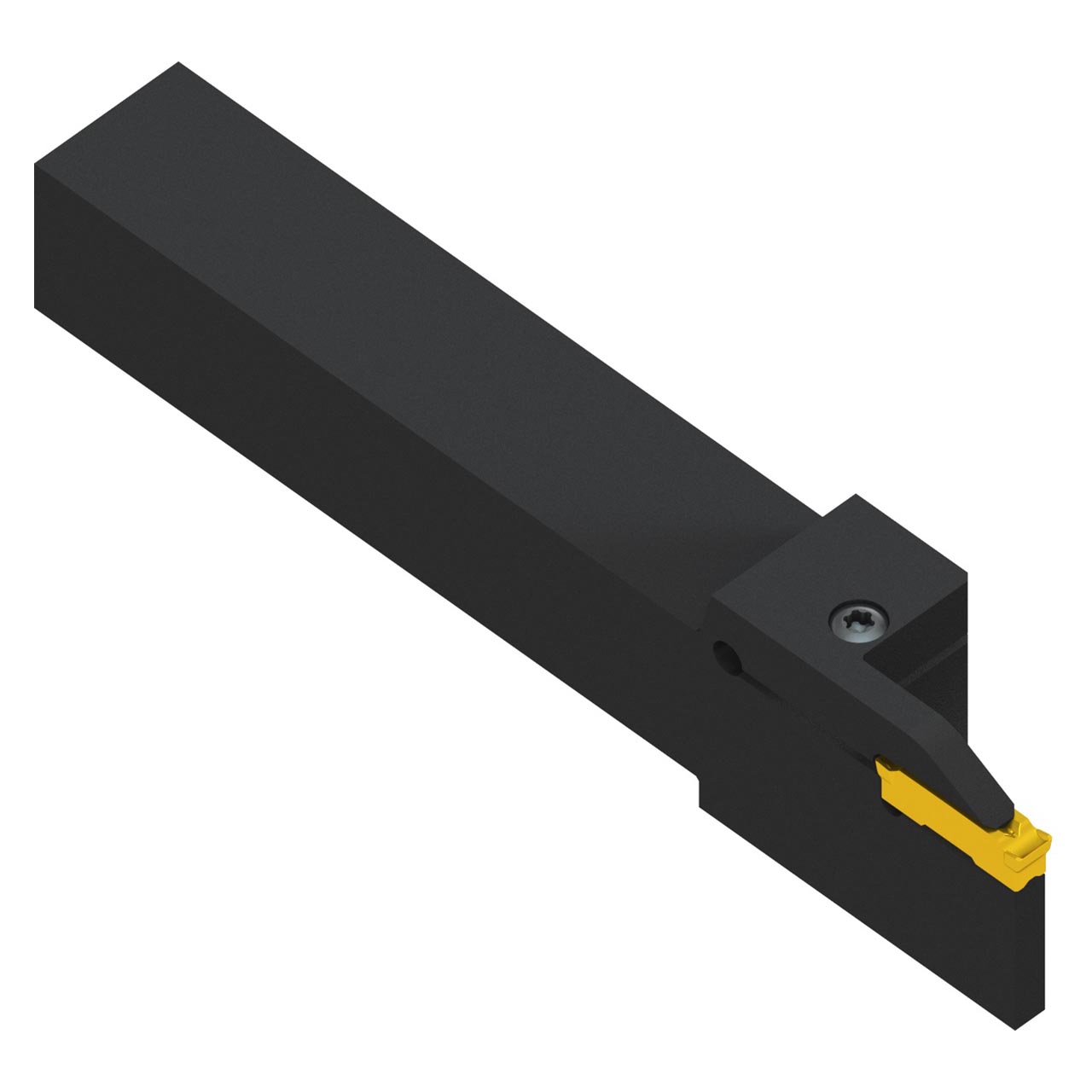 Pramet GL6-S2525PFL-32-100 | 170 mm Functional Length x 25 mm Shank Height Grooving Tool