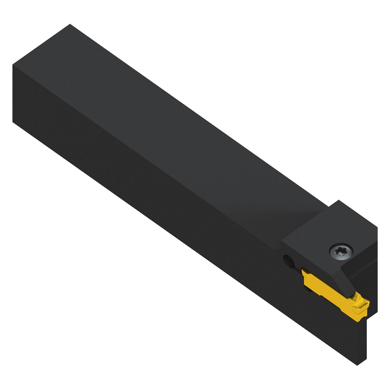 Pramet GL5-S2525MFL-12 | 150 mm Functional Length x 25 mm Shank Height Grooving Tool