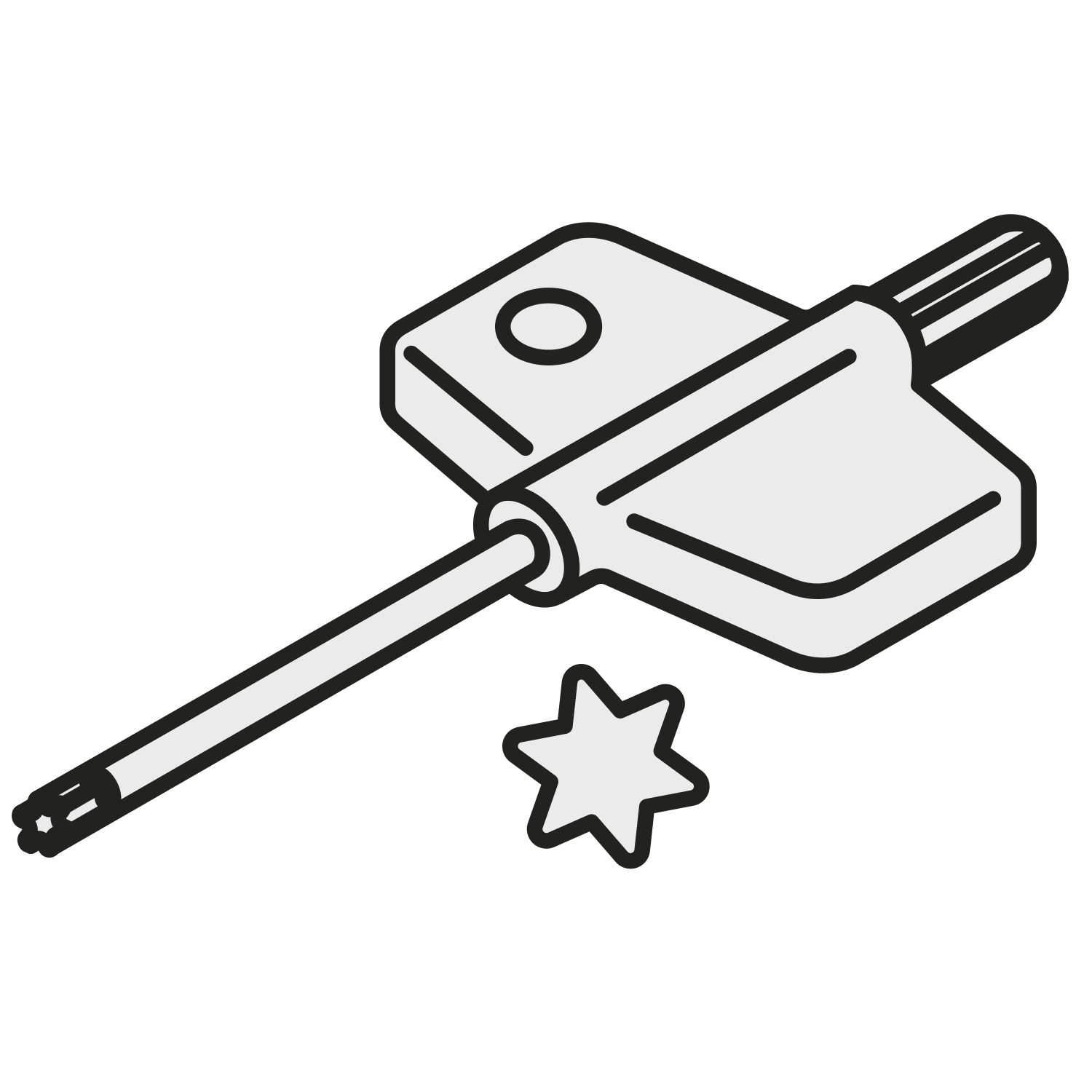 Pramet 6761265 | Flag Torx Key