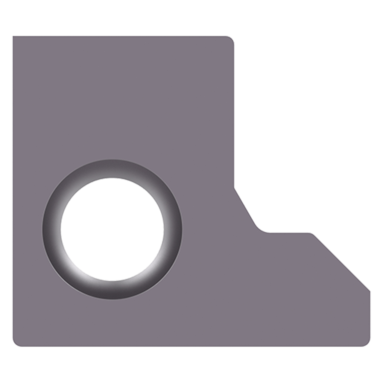 Allied Machine and Engineering AS5202-24-C5A | TiAlN Coated Carbide Porting Insert