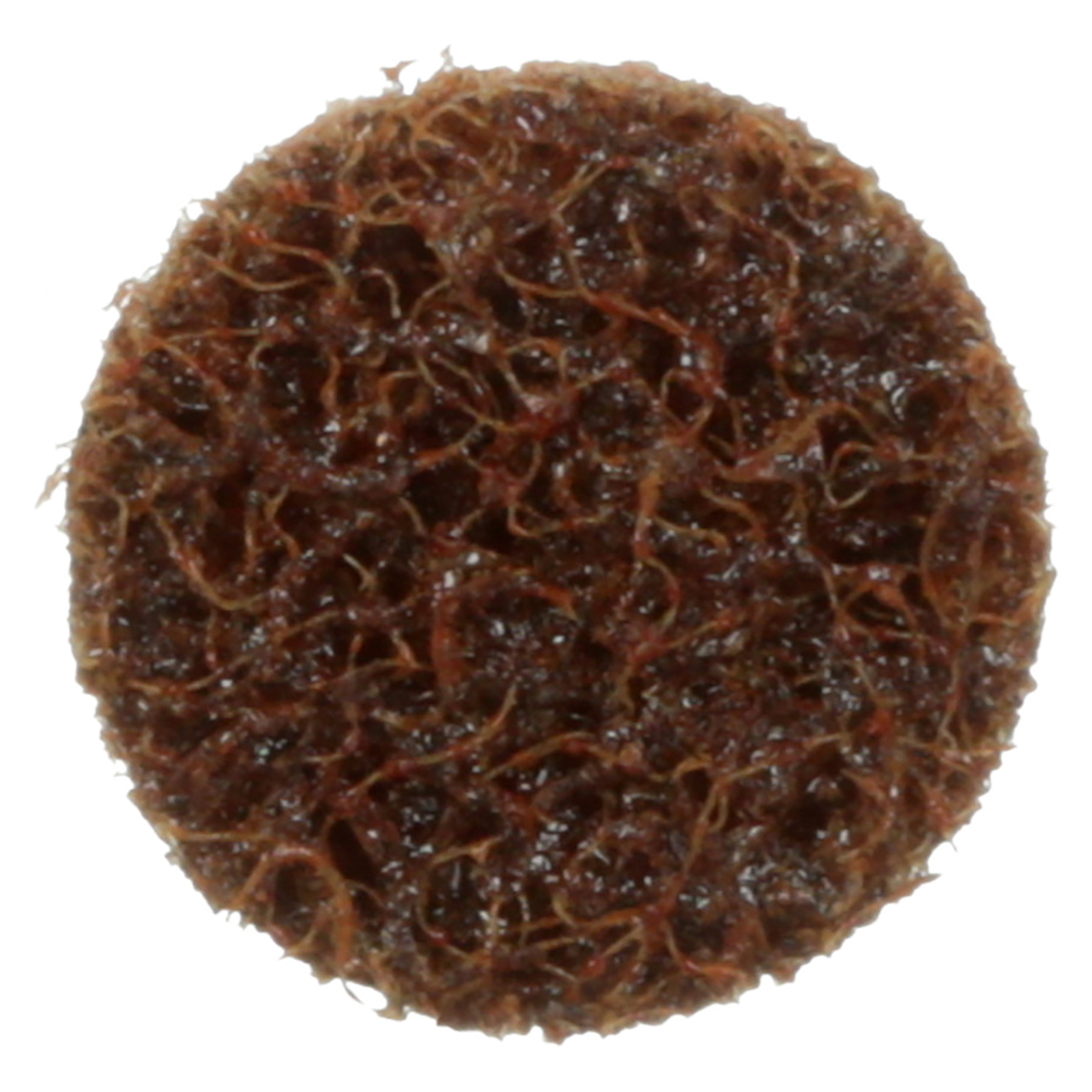 3M 7000035851 | Scotch-Brite Roloc 3/4" Diameter SC-DS Coarse Aluminum Oxide Surface Conditioning Disc